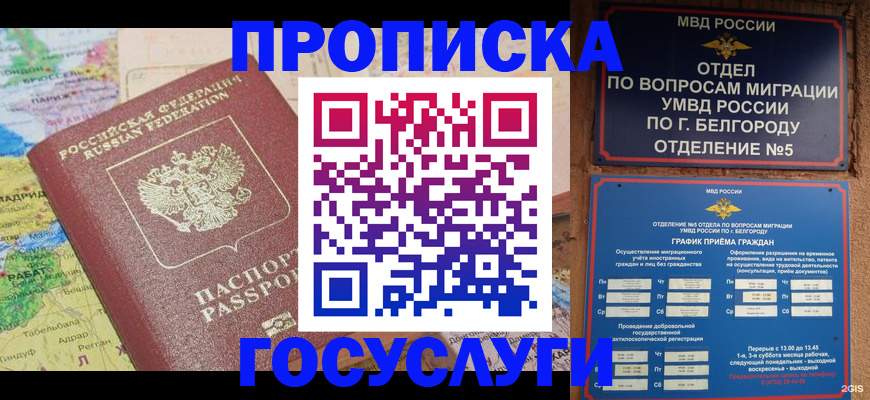 прописка регистрация в Тимашёвске